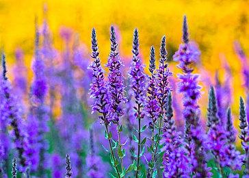 腾讯网易米哈游多款游戏12月6日停机停服 次日恢复