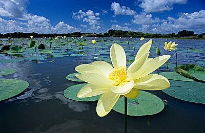 《节奏地牢》衍生作《节奏裂隙》现已在Steam平台推出试玩Demo